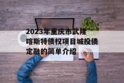 2023年重庆市武隆喀斯特债权项目城投债定融的简单介绍