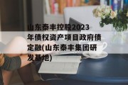 山东泰丰控股2023年债权资产项目政府债定融(山东泰丰集团研发基地)