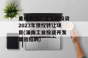 重庆市潼南区工业投资2023年债权转让项目(潼南工业投资开发集团招聘)