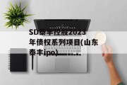 SD泰丰控股2023年债权系列项目(山东泰丰ipo)