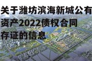 关于潍坊滨海新城公有资产2022债权合同存证的信息