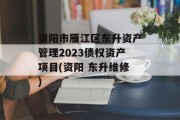资阳市雁江区东升资产管理2023债权资产项目(资阳 东升维修)