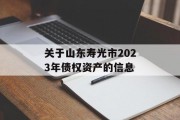 关于山东寿光市2023年债权资产的信息