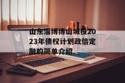 山东淄博博山城投2023年债权计划政信定融的简单介绍