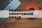 陕西咸阳新控2024年债权资产定融政府债的简单介绍