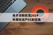 关于汝阳农发2024年债权资产01的信息