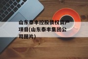山东泰丰控股债权资产项目(山东泰丰集团公司图片)