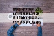 重庆彭水工业园区2023年债权转让项目(重庆彭水工业园区2023年债权转让项目招标)