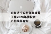 山东济宁农村邻里康养工程2024年债权资产的简单介绍