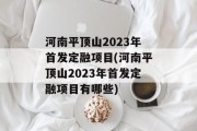 河南平顶山2023年首发定融项目(河南平顶山2023年首发定融项目有哪些)