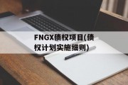 FNGX债权项目(债权计划实施细则)