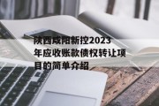 陕西咸阳新控2023年应收账款债权转让项目的简单介绍