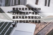 重庆大足开发建设2023年债权资产项目(重庆大足开发建设2023年债权资产项目清单)