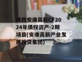 陕西安康高新CF2024年债权资产-2期项目(安康高新产业发展投资集团)