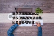潍坊滨海旅游2022债权(潍坊滨海旅游集团总部基地项目)