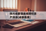 四川成都强县域债权资产项目(成都债务)