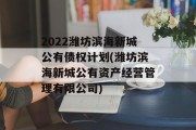 2022潍坊滨海新城公有债权计划(潍坊滨海新城公有资产经营管理有限公司)