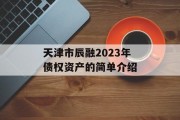天津市辰融2023年债权资产的简单介绍