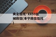 央企信托·XX59盐城政信(阜宁政信信托)