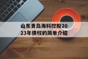 山东青岛海科控股2023年债权的简单介绍