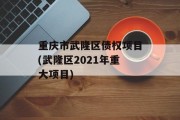 重庆市武隆区债权项目(武隆区2021年重大项目)