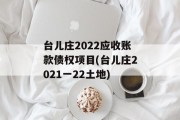 台儿庄2022应收账款债权项目(台儿庄2021一22土地)
