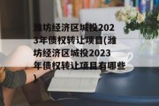 潍坊经济区城投2023年债权转让项目(潍坊经济区城投2023年债权转让项目有哪些)