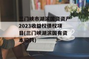 三门峡市湖滨国资资产2023收益权债权项目(三门峡湖滨国有资本招聘)
