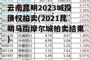 云南昆明2023城投债权拍卖(2021昆明马街摩尔城拍卖结果)