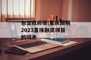 包含政府债|重庆南桐2023直接融资项目的词条