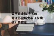 关于央企信托-729号江苏盐城大丰（永续债）的信息