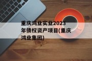 重庆鸿业实业2023年债权资产项目(重庆鸿业集团)