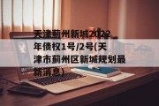 天津蓟州新城2022年债权1号/2号(天津市蓟州区新城规划最新消息)
