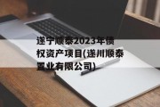 遂宁顺泰2023年债权资产项目(遂川顺泰置业有限公司)