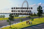山东潍坊滨海新城公有债权计划(潍坊滨城投资开发有限公司信用评级)