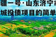 万疆一号·山东济宁市中城投债项目的简单介绍