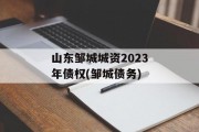 山东邹城城资2023年债权(邹城债务)