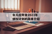 台儿庄财金2023年债权计划的简单介绍