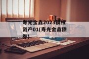 寿光金鑫2023债权资产01(寿光金鑫债券)