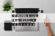 湖北武汉阳逻新港产业投资2023年债权转让计划(2020阳逻新港线最新消息)