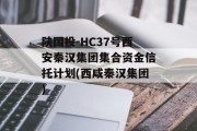 陕国投-HC37号西安秦汉集团集合资金信托计划(西咸秦汉集团)