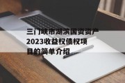 三门峡市湖滨国资资产2023收益权债权项目的简单介绍