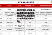 重庆长寿生态旅业2022年债权融资计划(重庆长寿生态旅业2022年债权融资计划公告)