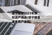 遂宁顺泰2023年债权资产项目(遂宁顺意通电商产业园)