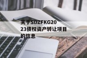 关于SDZFKG2023债权资产转让项目的信息