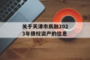 关于天津市辰融2023年债权资产的信息