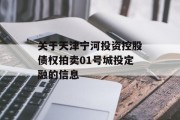 关于天津宁河投资控股债权拍卖01号城投定融的信息