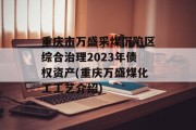 重庆市万盛采煤沉陷区综合治理2023年债权资产(重庆万盛煤化工工艺介绍)