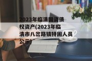 2023年临清国资债权资产(2023年临清市八岔路镇特困人员公示)