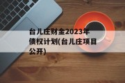 台儿庄财金2023年债权计划(台儿庄项目公开)